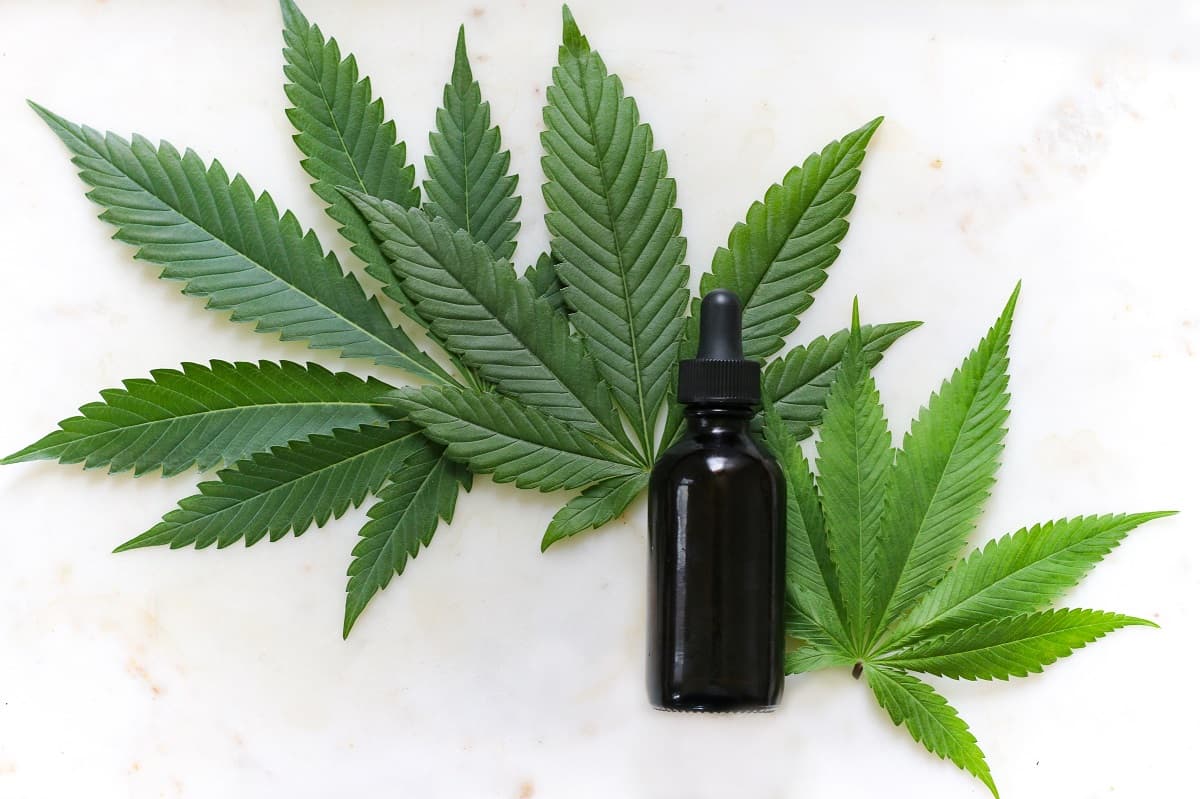 THC Cannabis Oil for Sale in Europe – Lab-Tested Quality