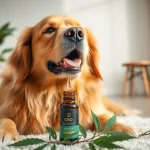 Administering CBD Oil For Dog to a golden retriever in a warm home setting.